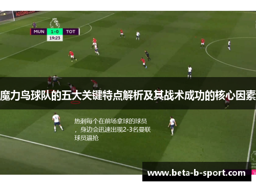 魔力鸟球队的五大关键特点解析及其战术成功的核心因素